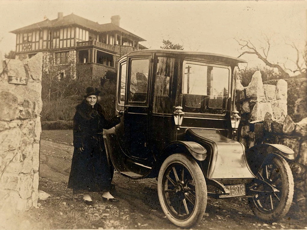 First store electric carriage